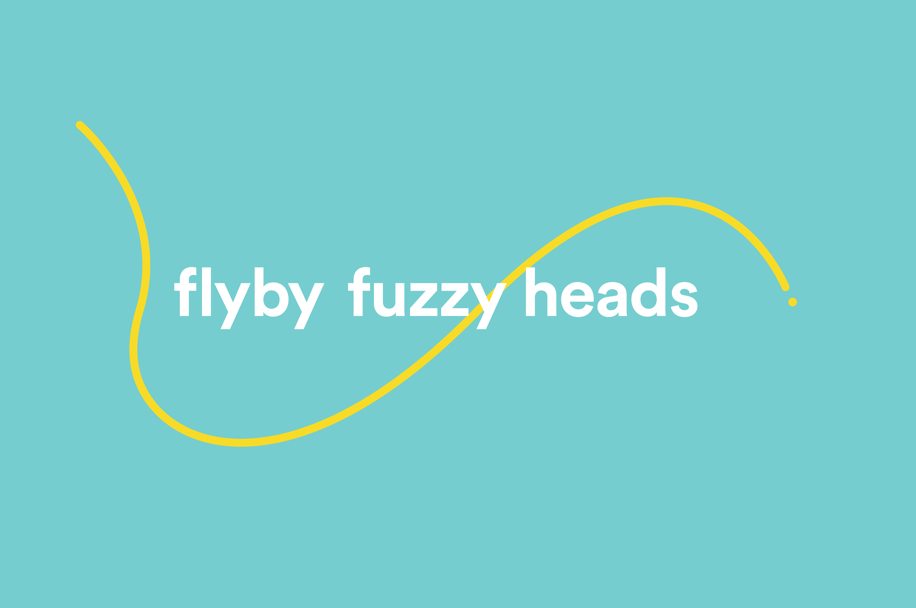 Flyby